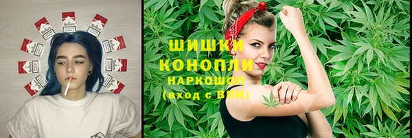 амф Алексин